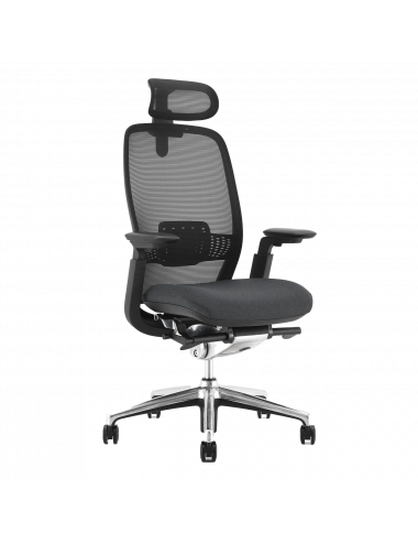 Fauteuil ergonomique avec tétière Iris A