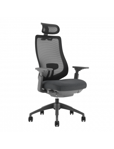 Siège de bureau ergonomique Owen